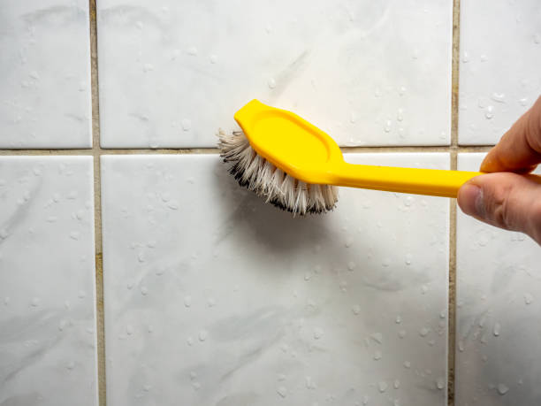 Best Health and Safety Mold Remediation in Springfield, MA
