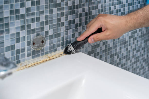 Best Mold Remediation for Schools in Springfield, MA